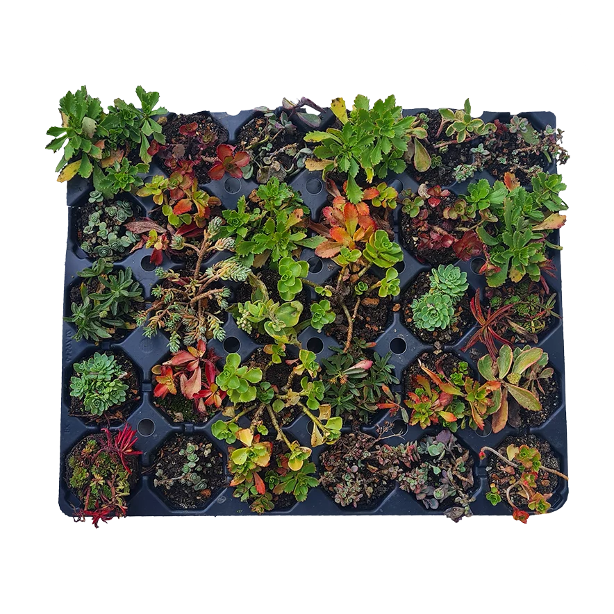 Green Roof Shop