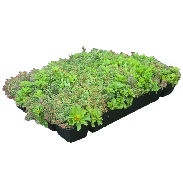 Green Roof Shop
