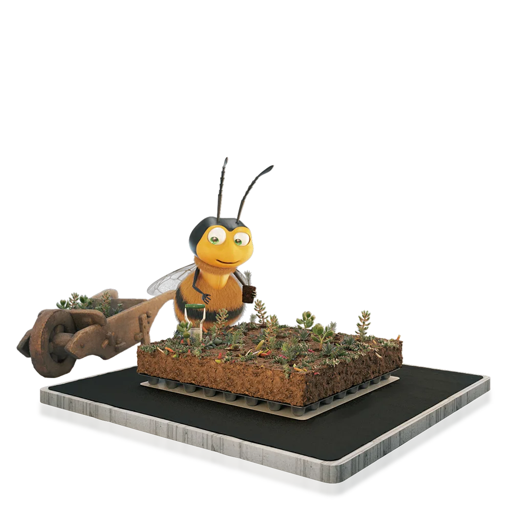 Groendak pakket | Plugplanten