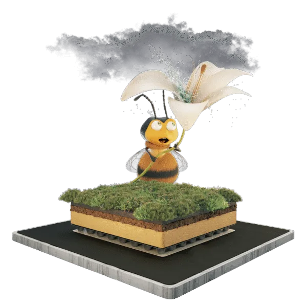 Groendak pakket | Sedummatten en extra waterbuffer