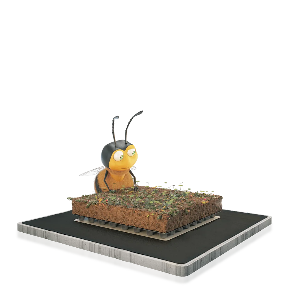 Groendak pakket | Sedumstekken